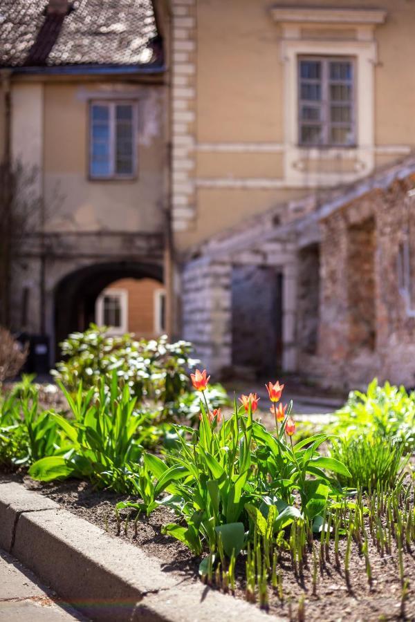 #Stayhere - Historic Vilnius Old Town Chic Studio Exteriér fotografie